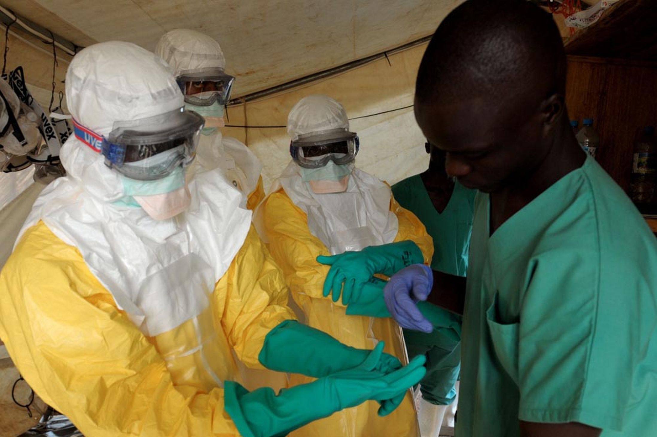 Ebola Virüsünün Serumu Bulundu