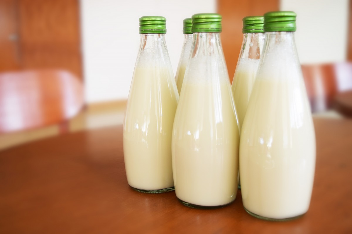 Kefir: Fermente Bir Süt İçeceği