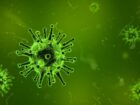 Erkenci Virüsler Akşamcılardan Tehlikeli