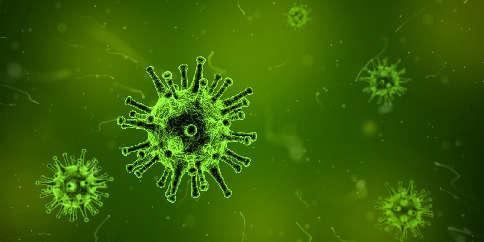Erkenci Virüsler Akşamcılardan Tehlikeli